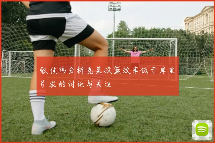 张佳玮分析克莱投篮效率低于库里引发的讨论与关注
