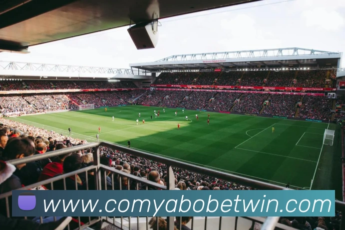 亚博体育APP 封面图